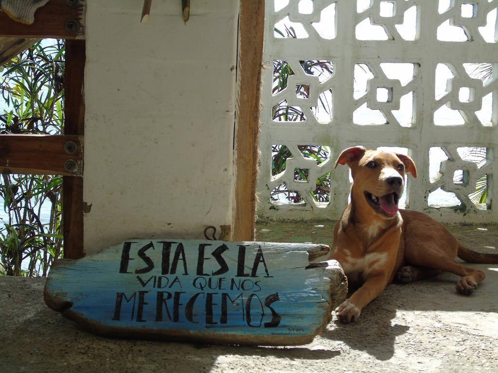 Necoclí Hostal La Mariapolis מראה חיצוני תמונה